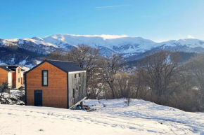 Two story cottage in Bakuriani